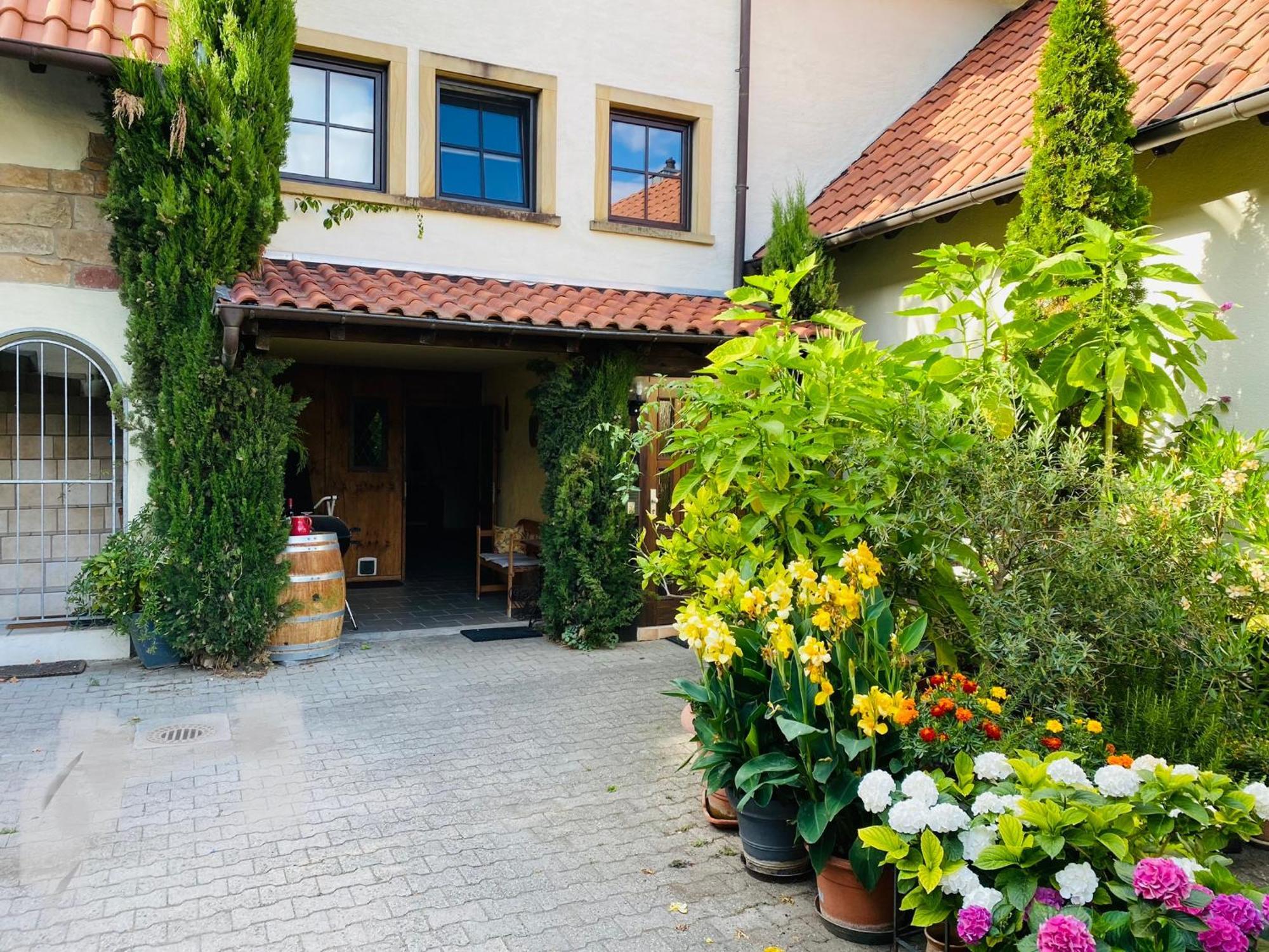 Ferienwohnung Mit Schoener Terrasse. Ellerstadt Exterior photo